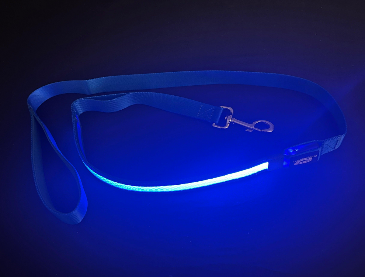 Light Up LED Dog Leash: Blue