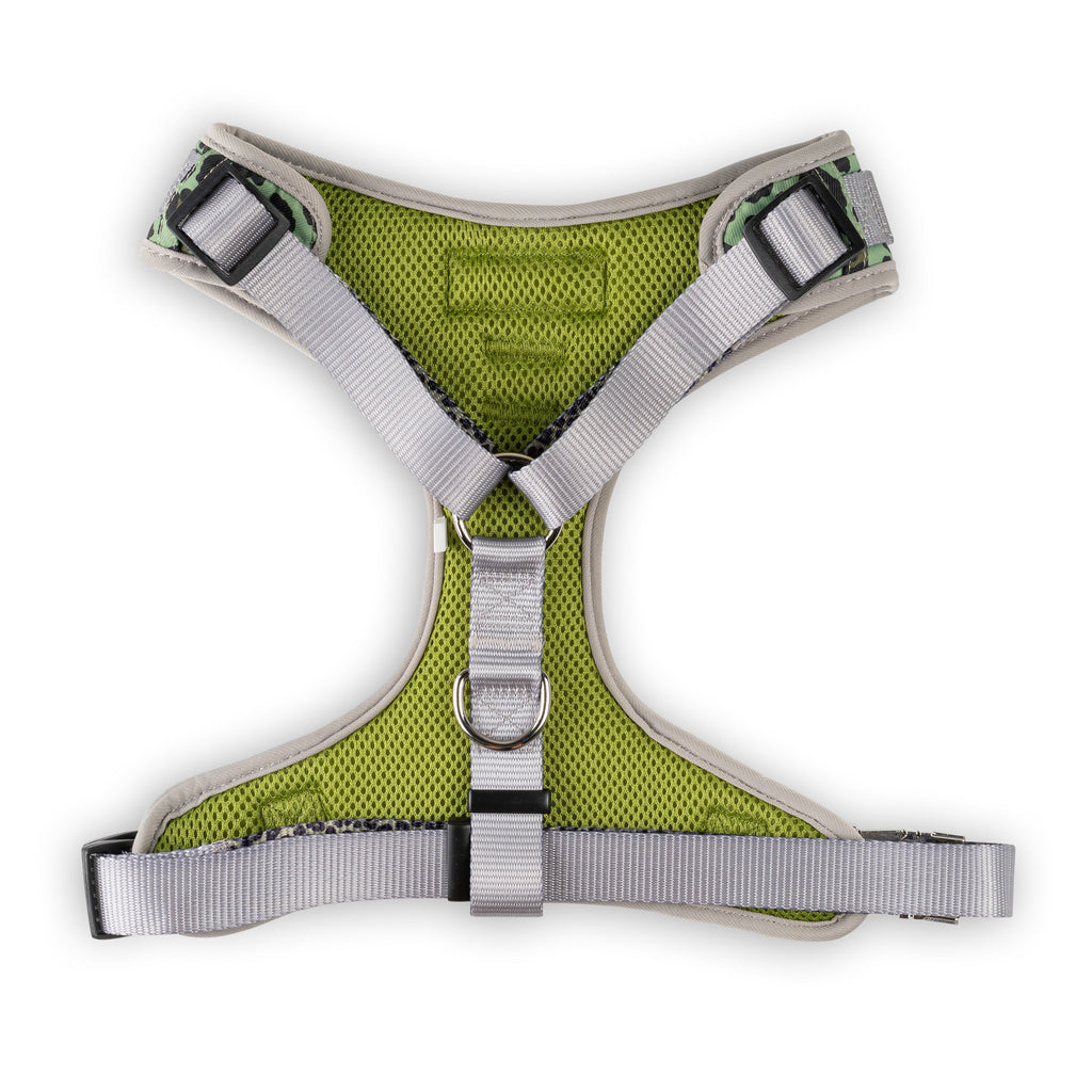 The Modern Dog Company - Walk on the Wild Side Harness
