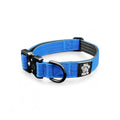 Durable Blue Nylon Dog Collar with Metal Buckle
