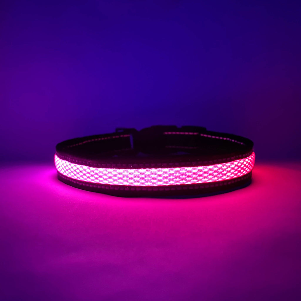 LED Dog Collar: Blue
