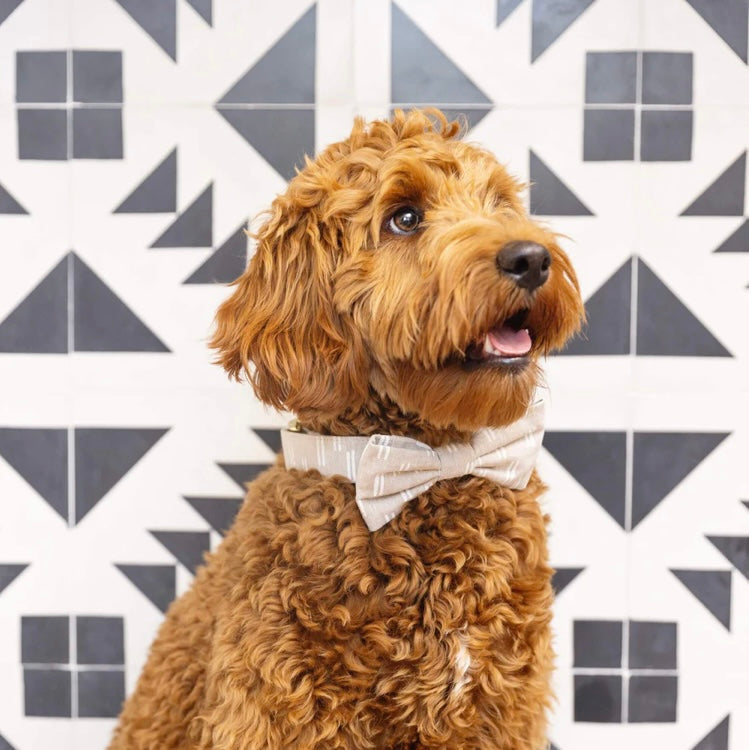 Flax Lines Dog Bow Tie