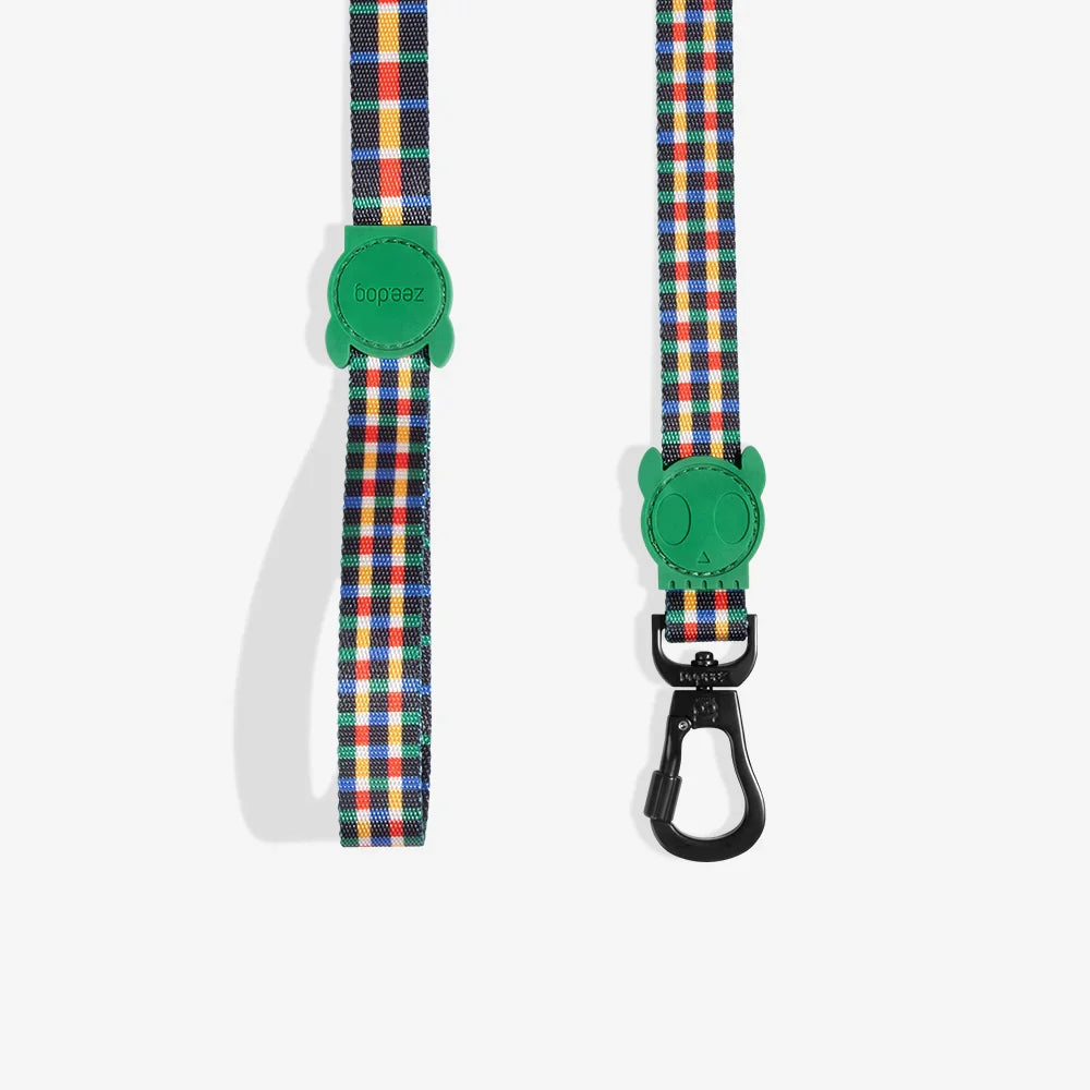 Travis | Leash