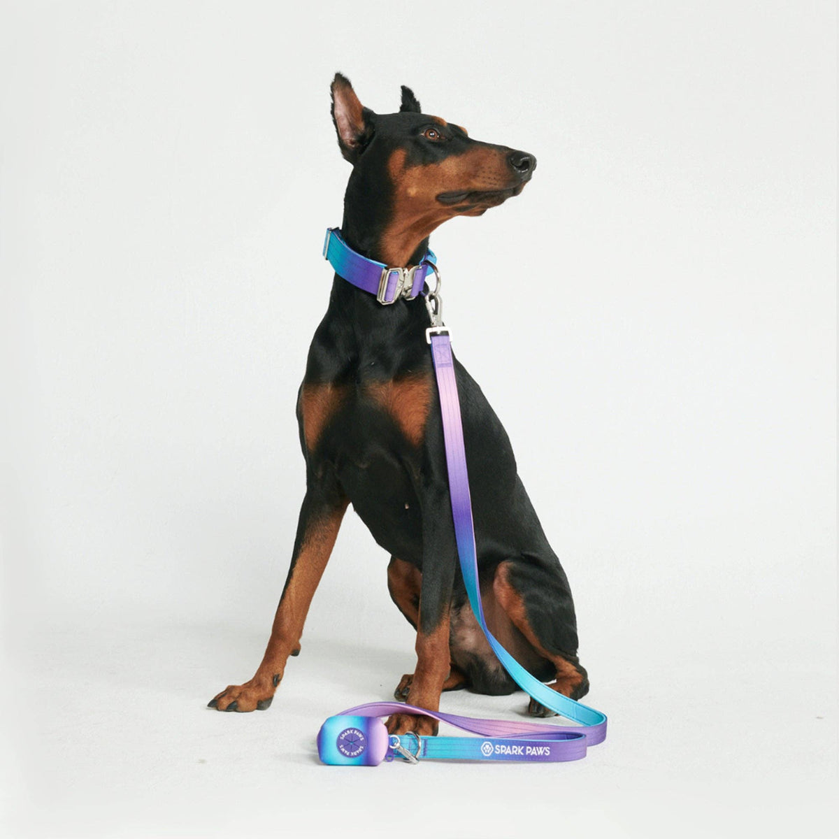 Comfort Control Dog Leash - 90s Retro: OS