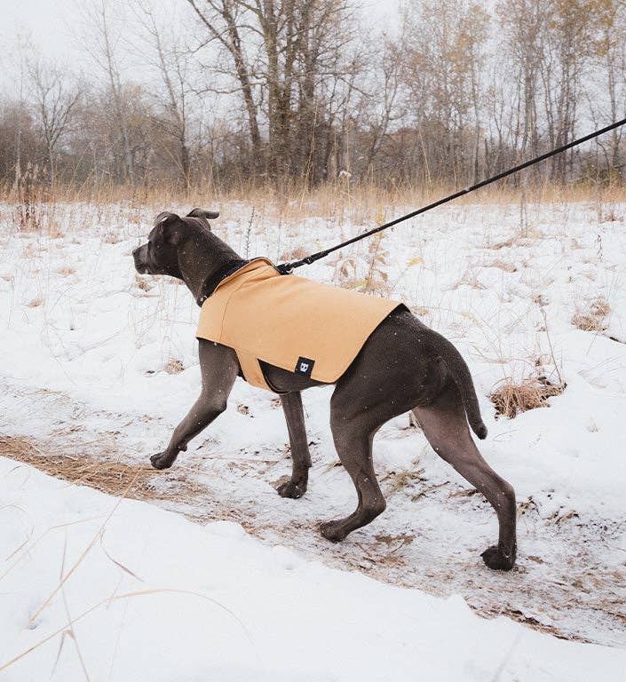 Beige | Coat