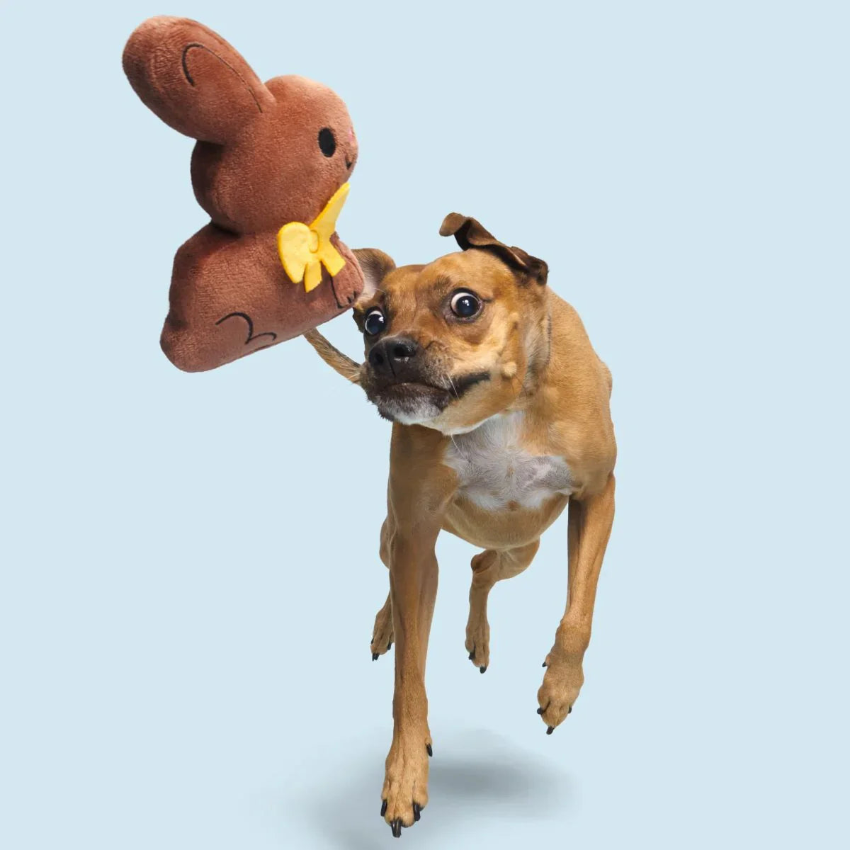 BARK Chocolick Chunky Bunky Plush Dog Toy