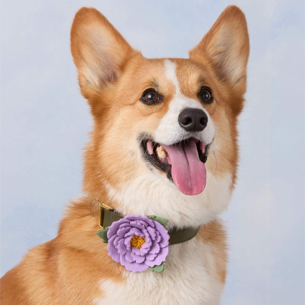 Lilac Peony Dog Collar Flower