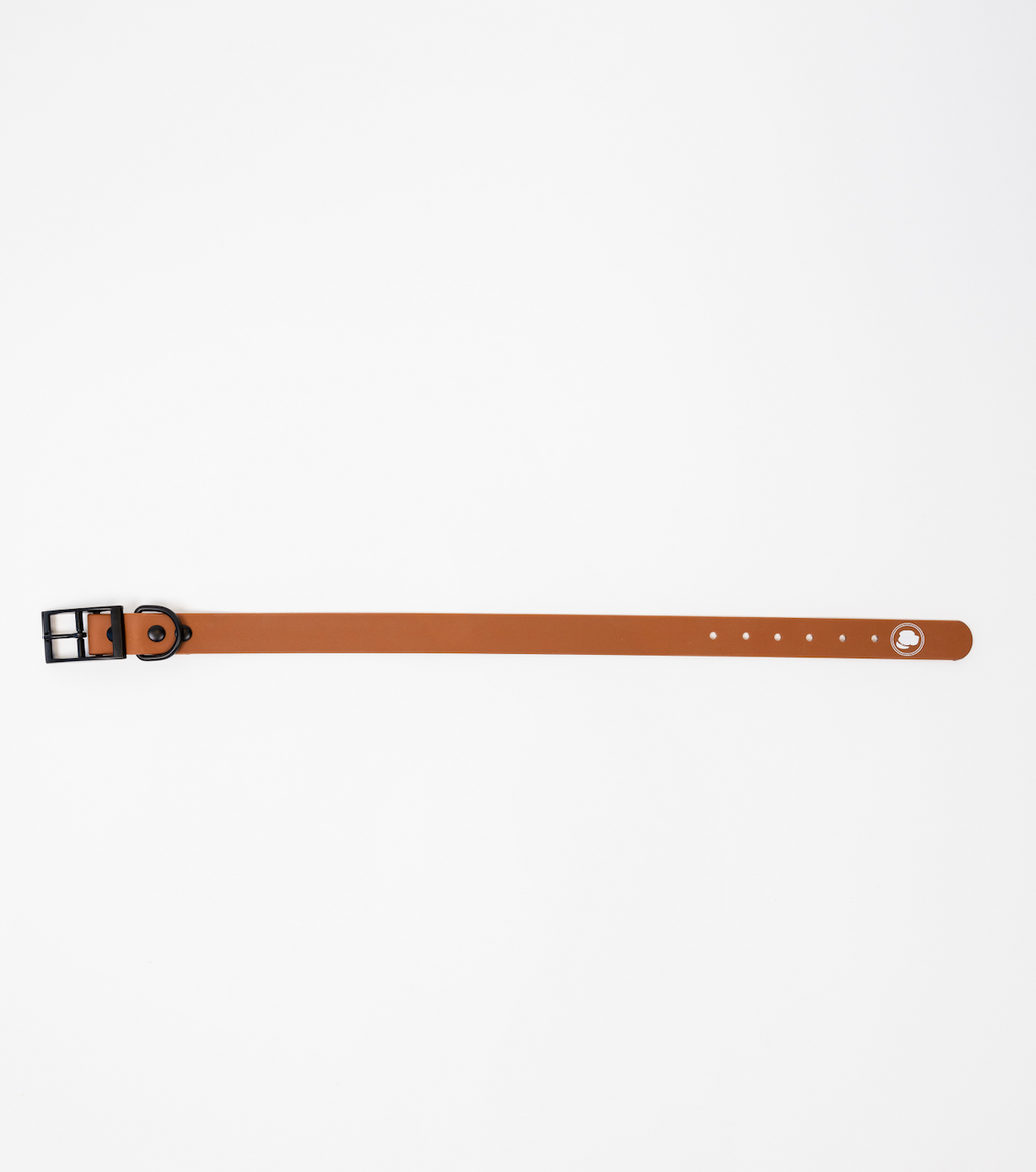 The Modern Dog Company - Coco Brown Collar (Weather + Odor Resistant)