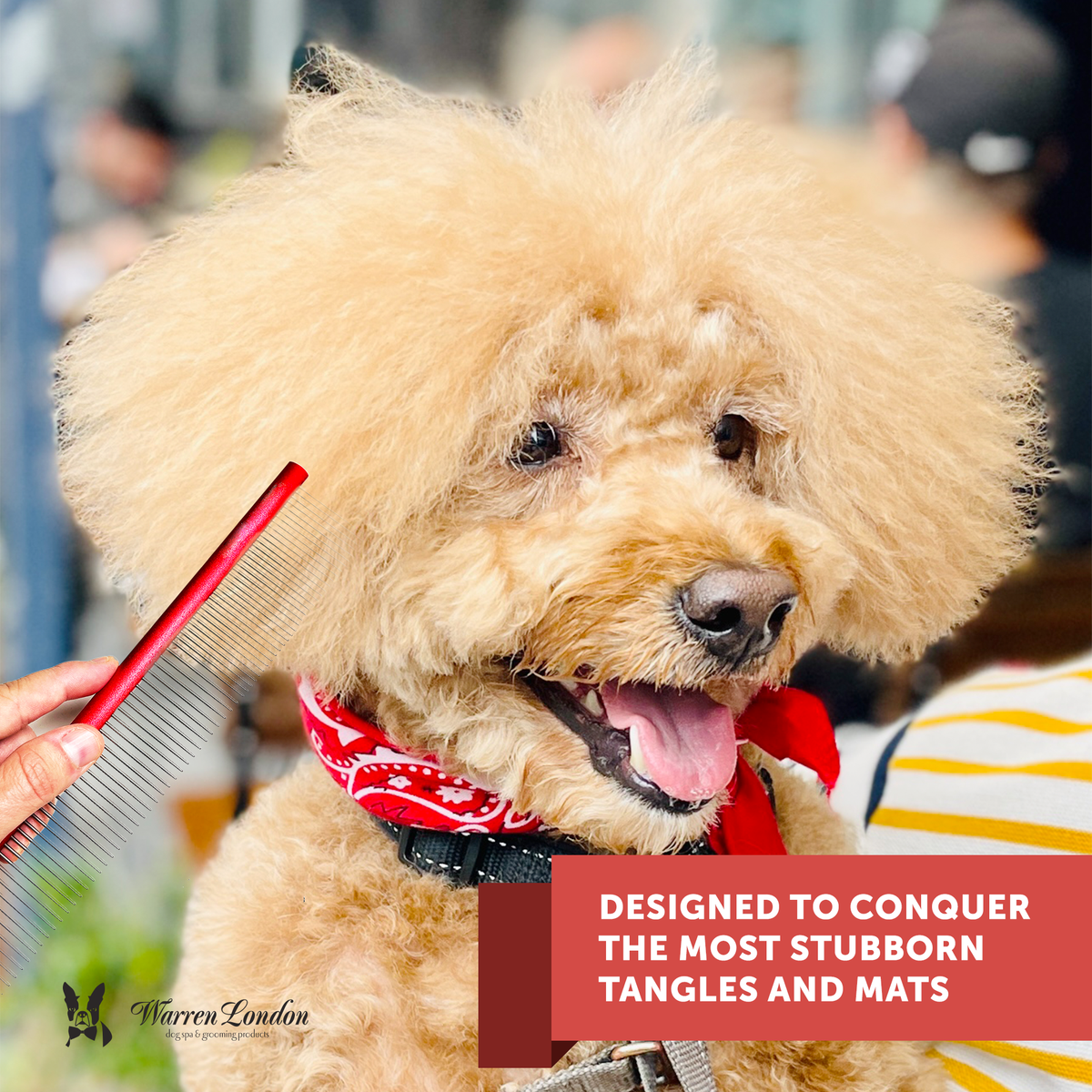 Detangling Comb for Dogs - 10" Strong and Durable Grooming