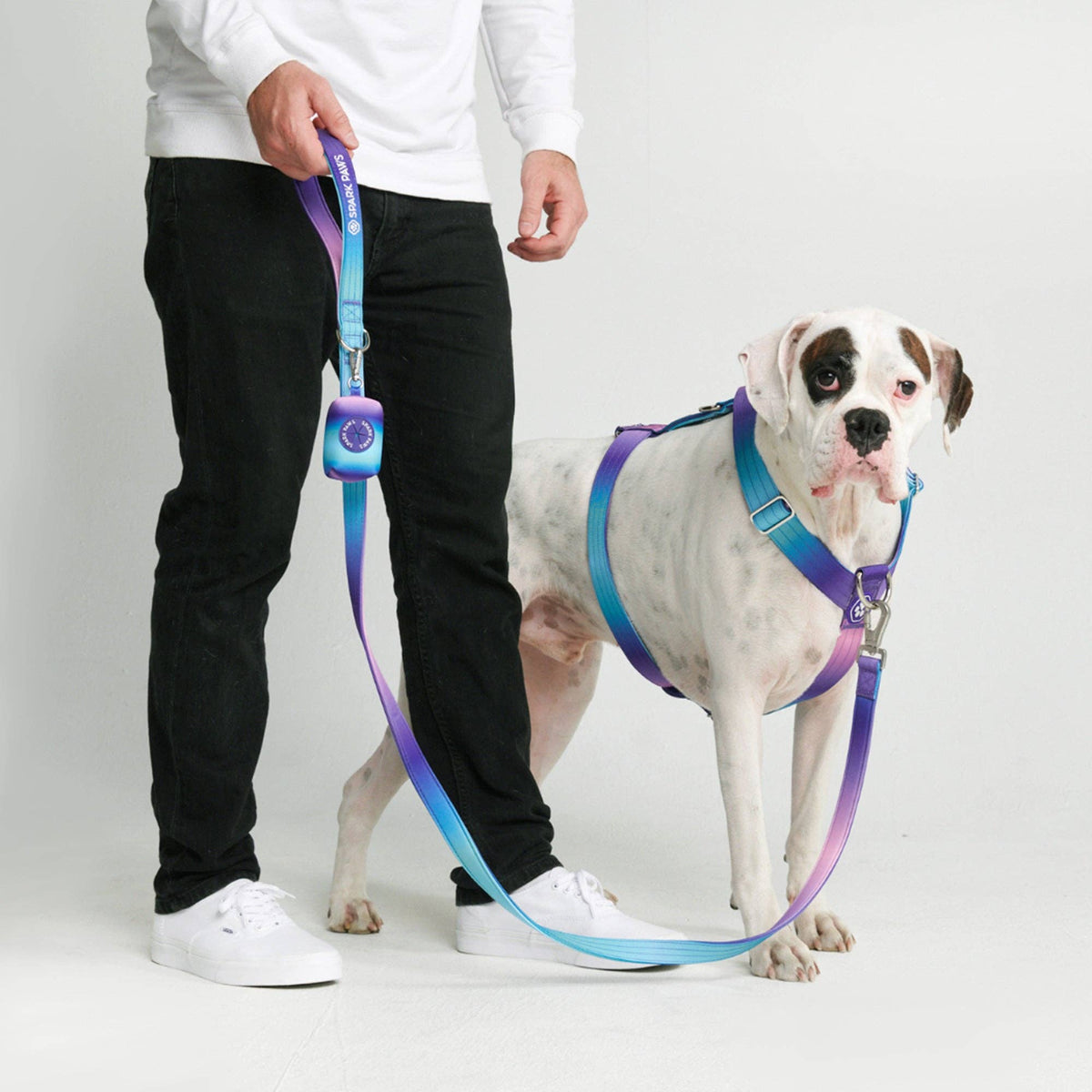 Comfort Control Dog Leash - 90s Retro: OS