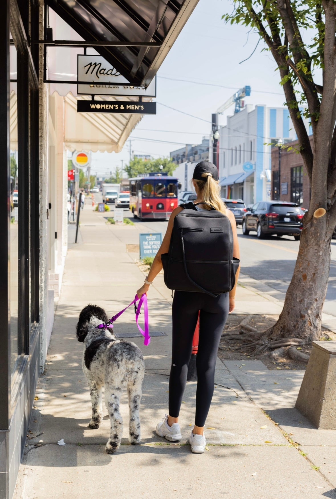 The Modern Dog Company - Electric Fuchsia Collar (Weather + Odor Resistant)