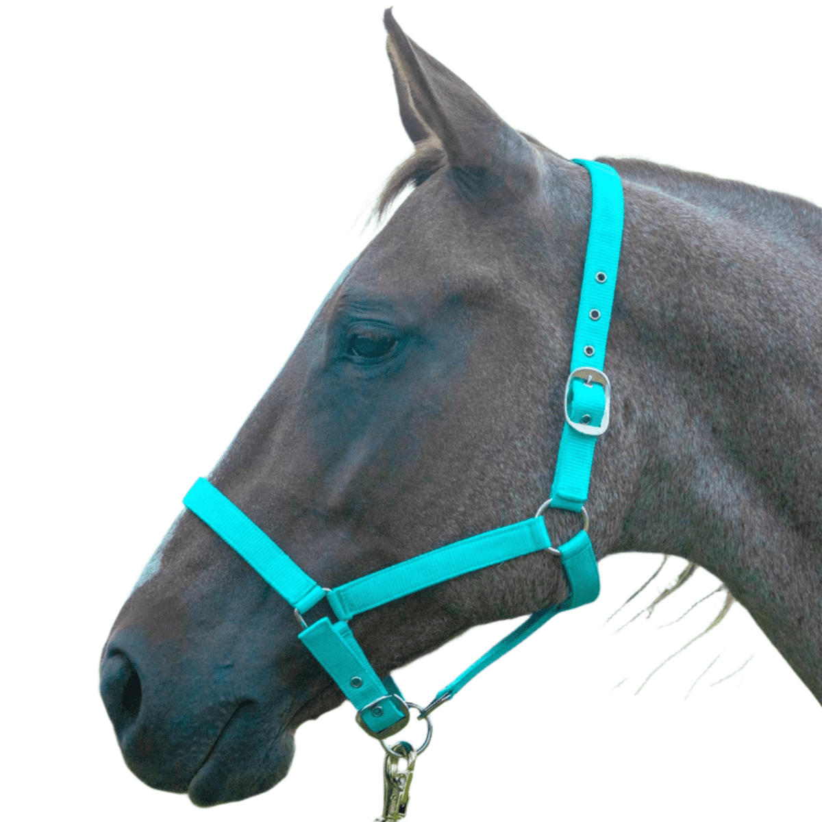 Jeffers Adjustable Nylon Full Size Horse Halter