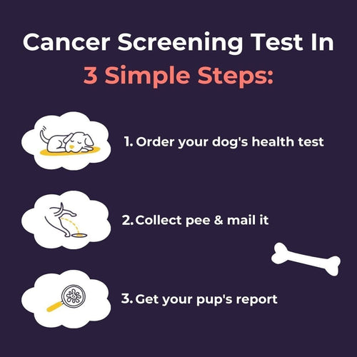 At-Home Dog Cancer Screening Test Kit